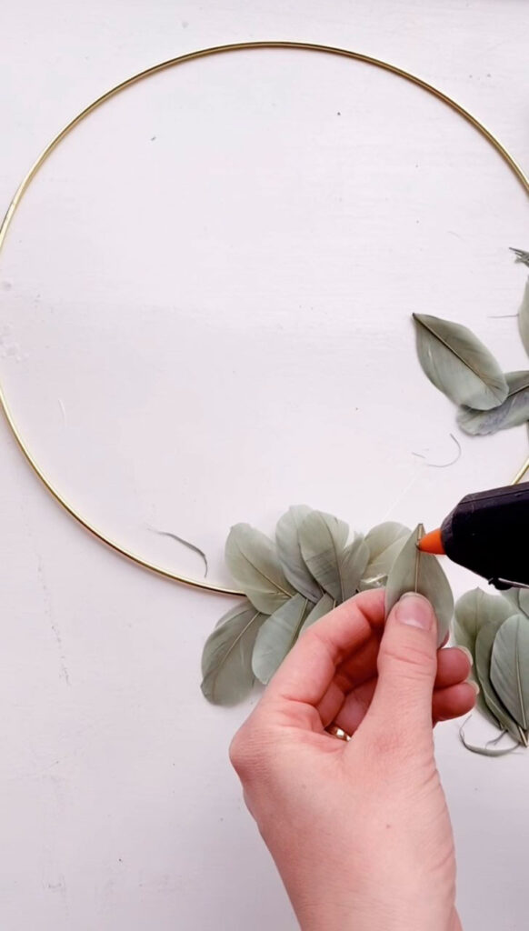 Lim fjer fast på metalringen.