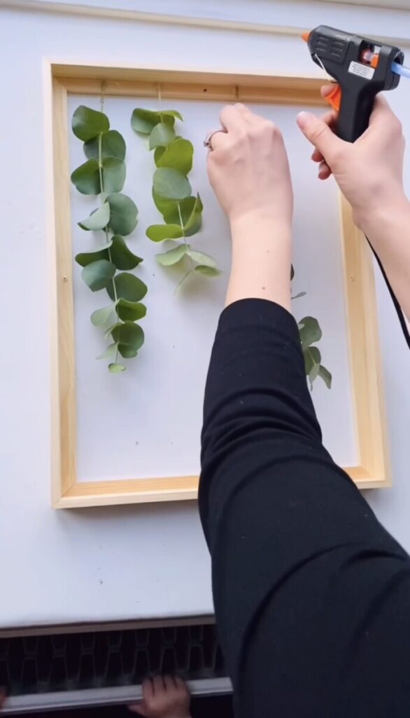 Fortsæt med eukalyptus grenene.  